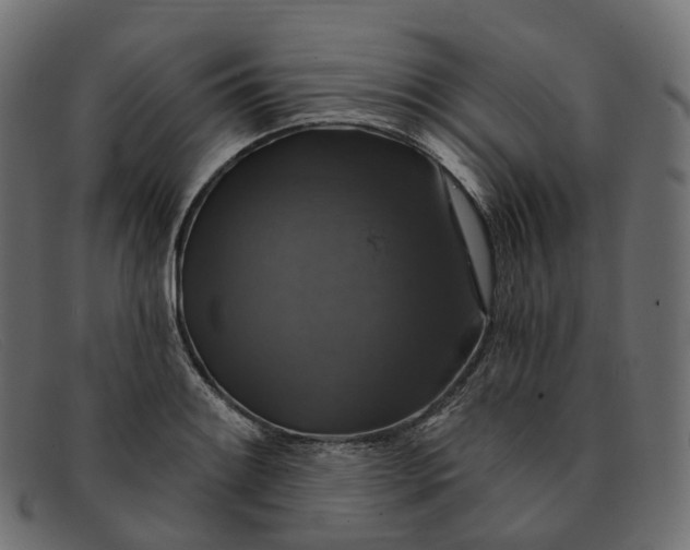 X0000091891084200709191212