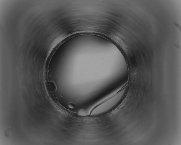 X0000091891085200709191212