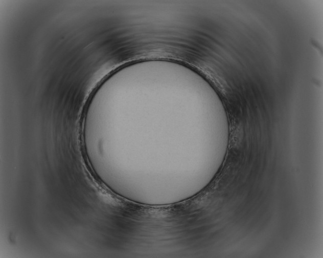 X0000091891086200709191212