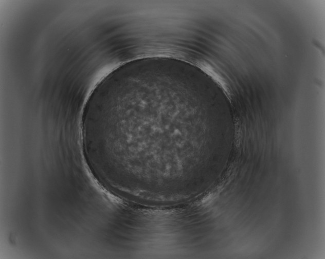 X0000091891088200709191212