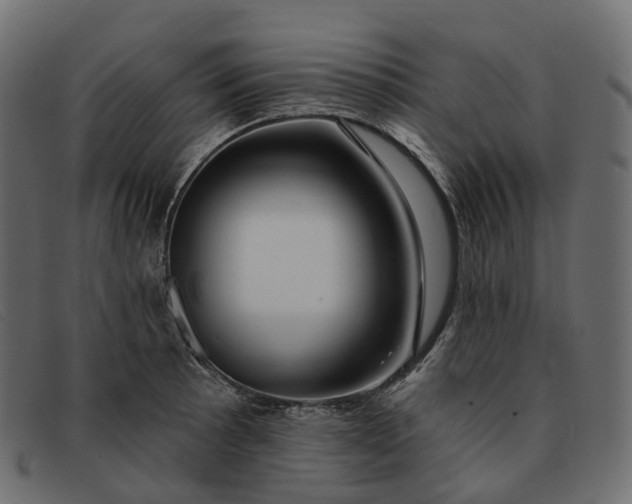 X0000091891089200709191212