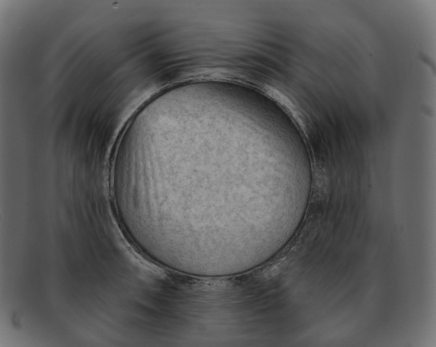 X0000091891090200709191212