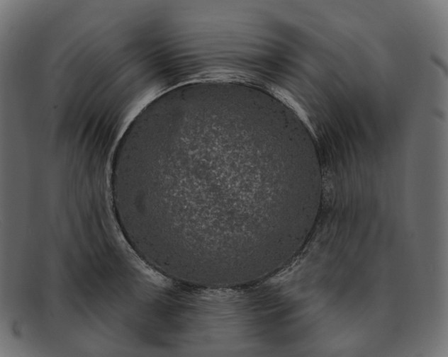 X0000091891091200709191212