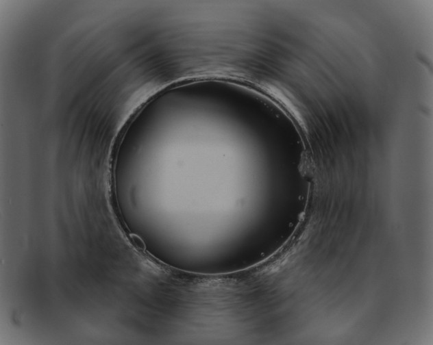 X0000091891093200709191212