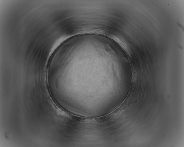 X0000091891094200709191212
