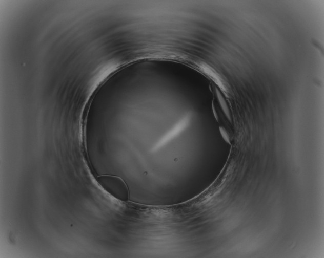 X0000091891095200709191212