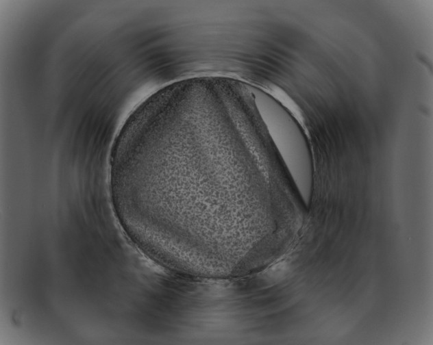 X0000091891096200709191212