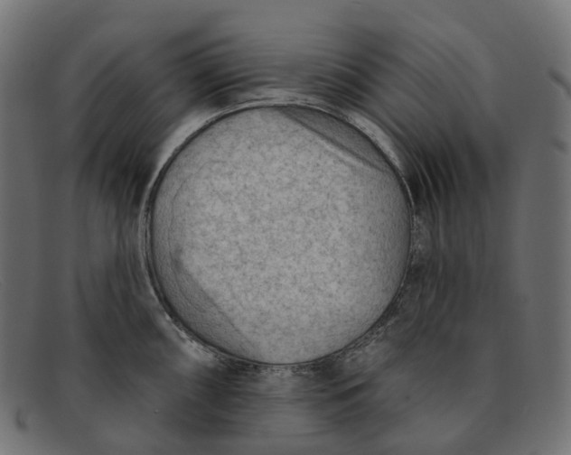 X0000091891098200709191212