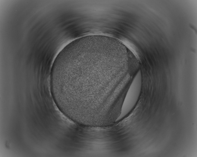 X0000091891100200709191212
