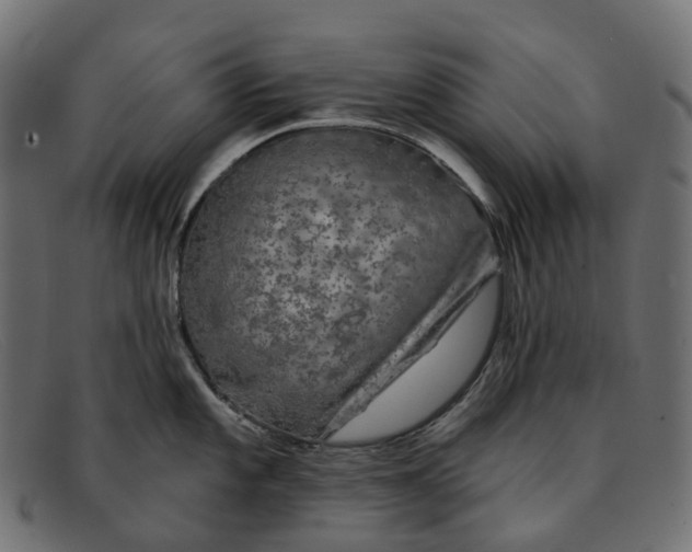 X0000091891101200709191212