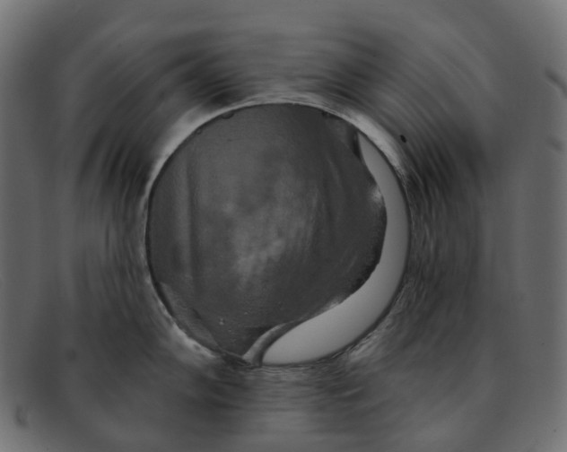 X0000091891102200709191212