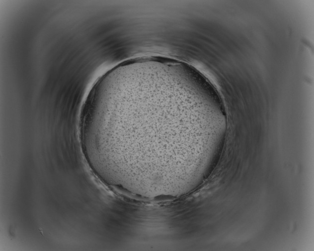 X0000091891104200709191212