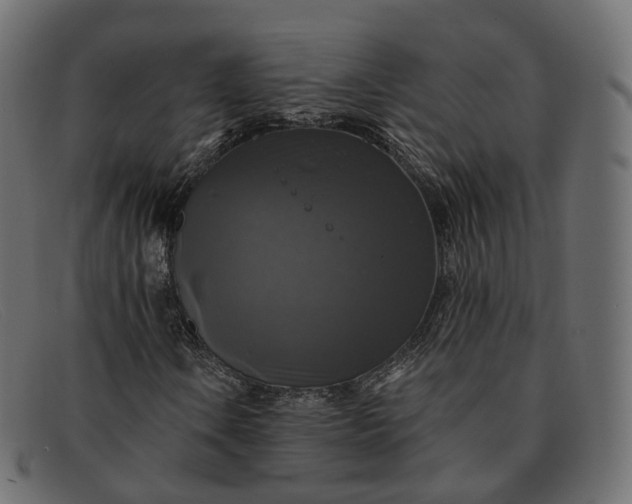 X0000091891106200709191211