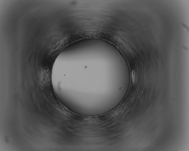 X0000091891107200709191211