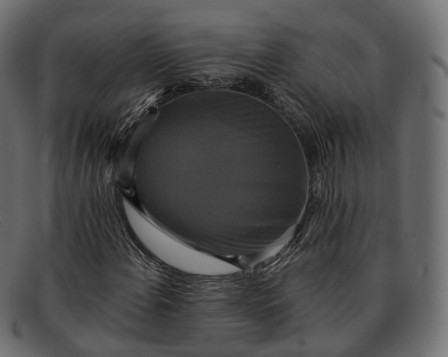 X0000091891108200709191211