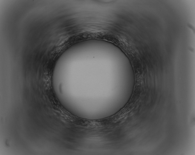 X0000091891109200709191211