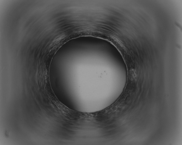X0000091891111200709191212