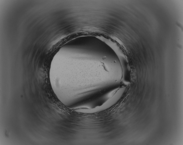 X0000091891112200709191212