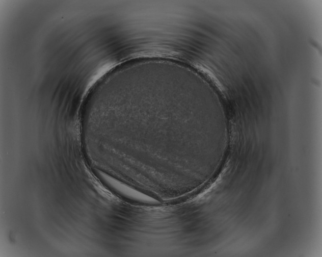 X0000091891114200709191212