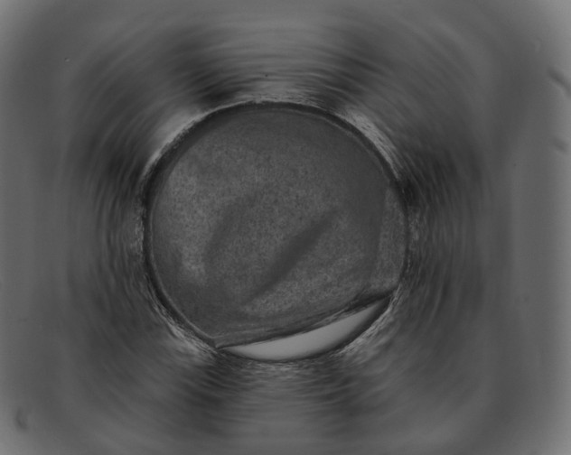 X0000091891115200709191212