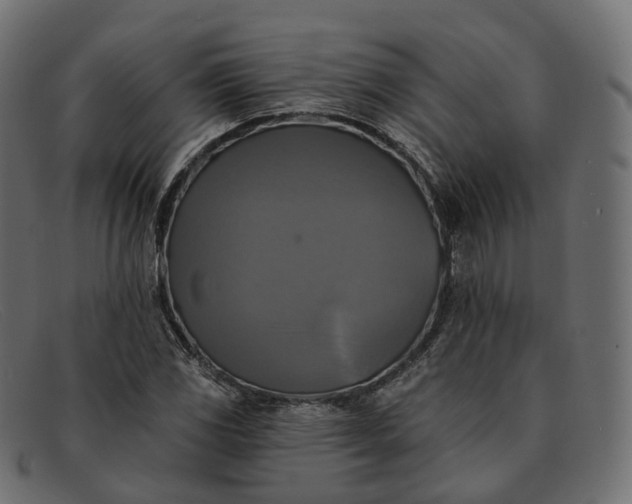 X0000091891117200709191212