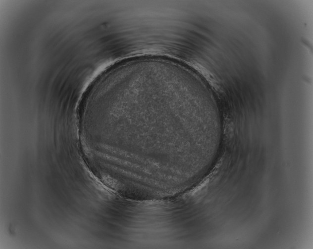 X0000091891118200709191212