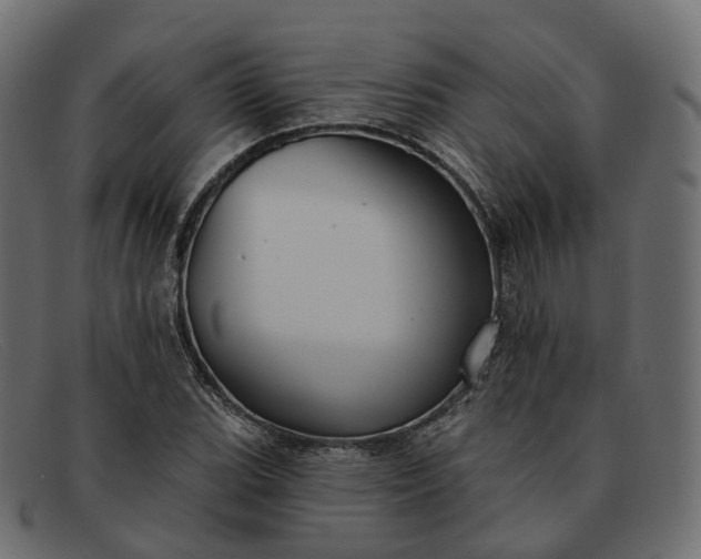 X0000091891119200709191212
