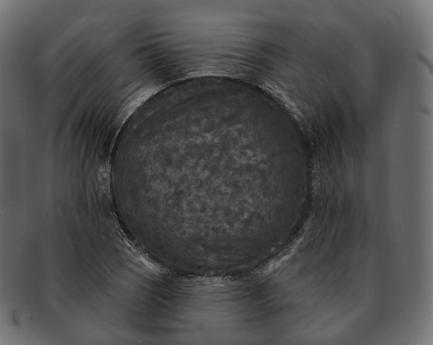 X0000091891121200709191212