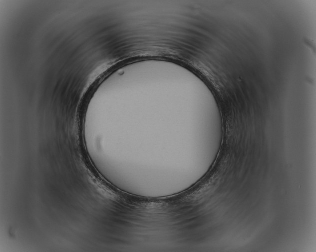 X0000091891122200709191212