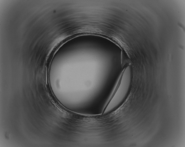 X0000091891123200709191212