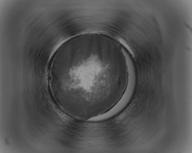 X0000091891124200709191212