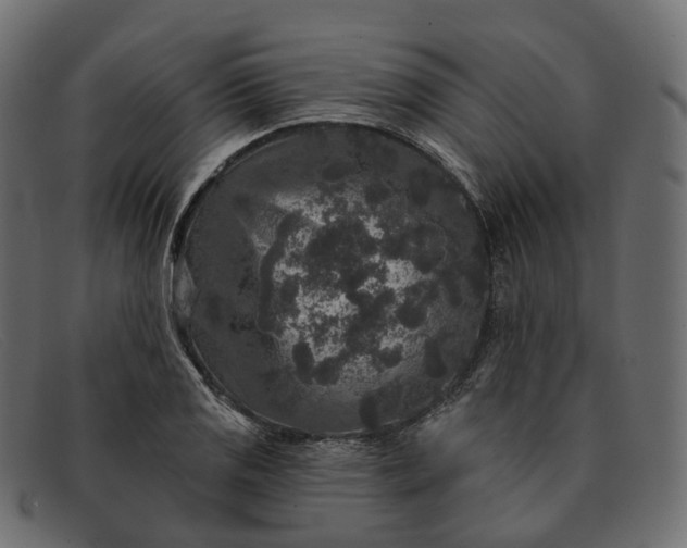 X0000091891125200709191212