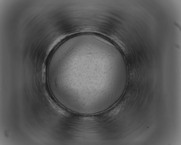 X0000091891126200709191212