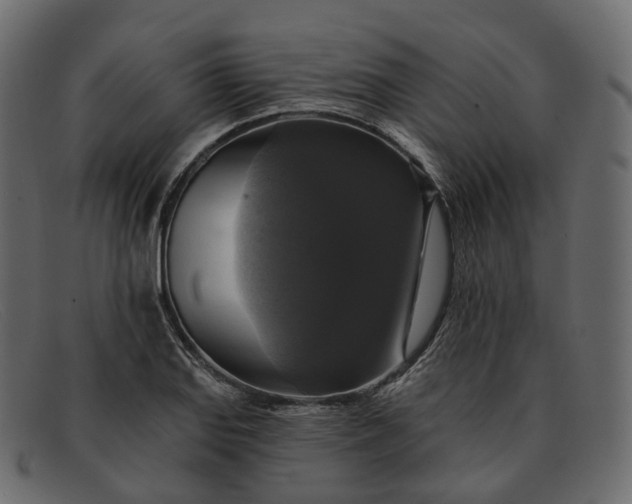 X0000091891127200709191212
