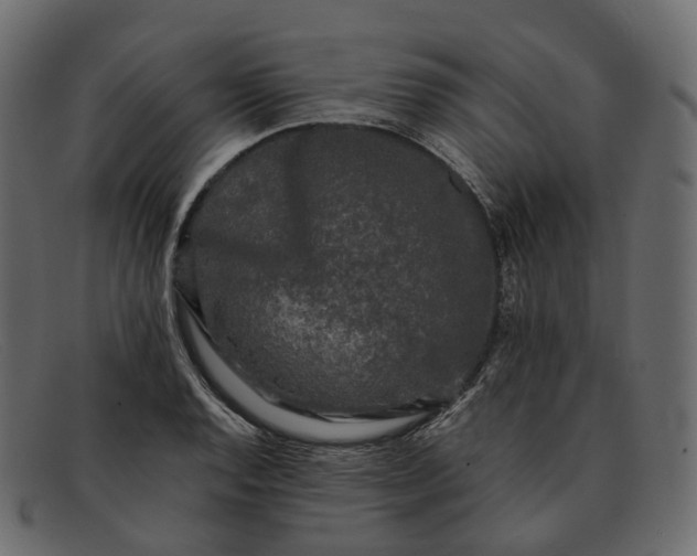 X0000091891128200709191212