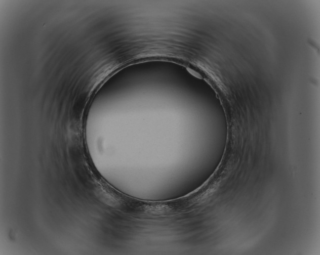 X0000091891129200709191212
