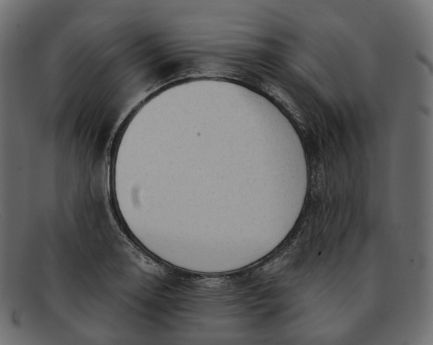 X0000091891130200709191212