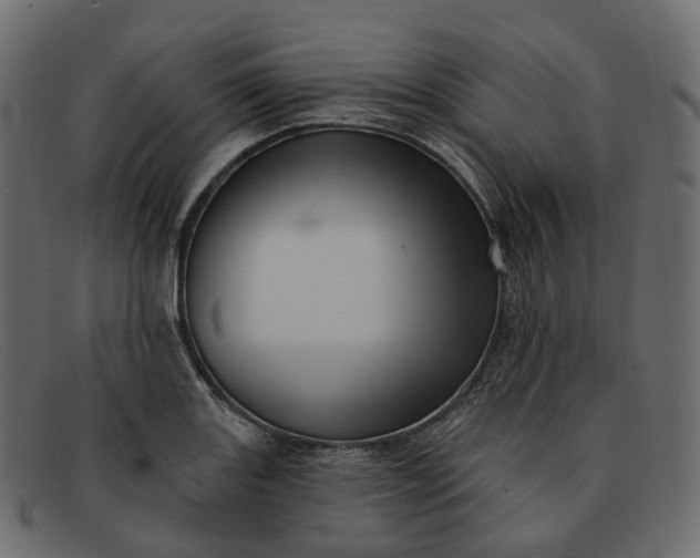 X0000091891131200709191212