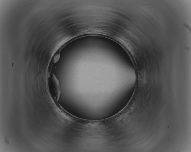 X0000091891133200709191212