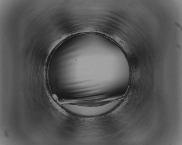X0000091891134200709191212