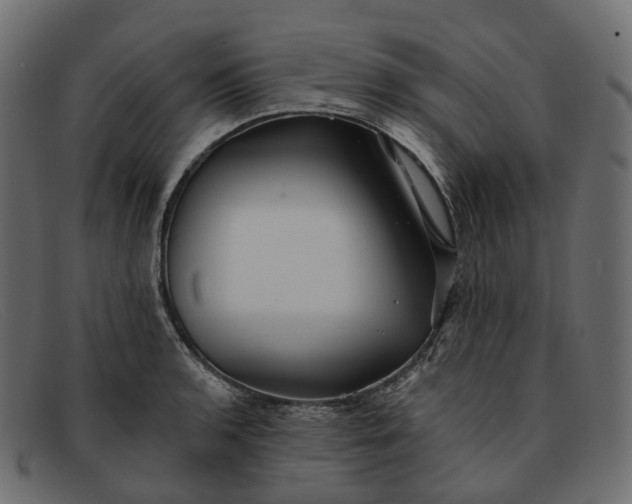 X0000091891136200709191212