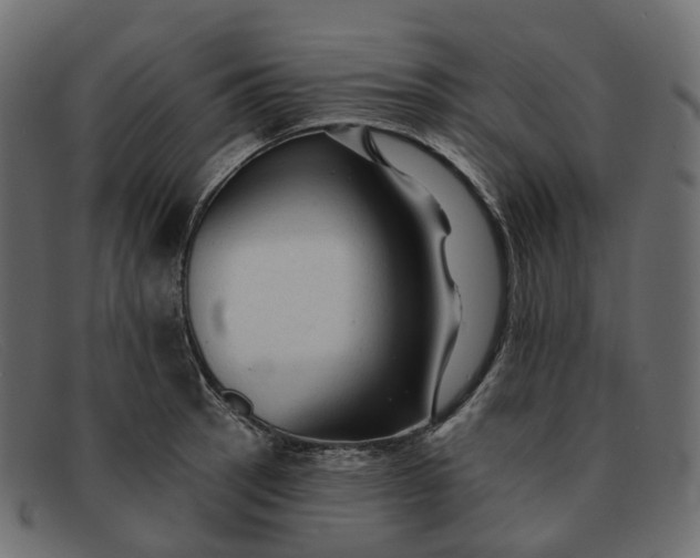 X0000091891137200709191212