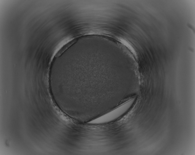 X0000091891138200709191212