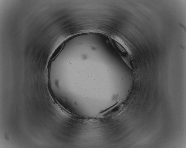 X0000091891140200709191212