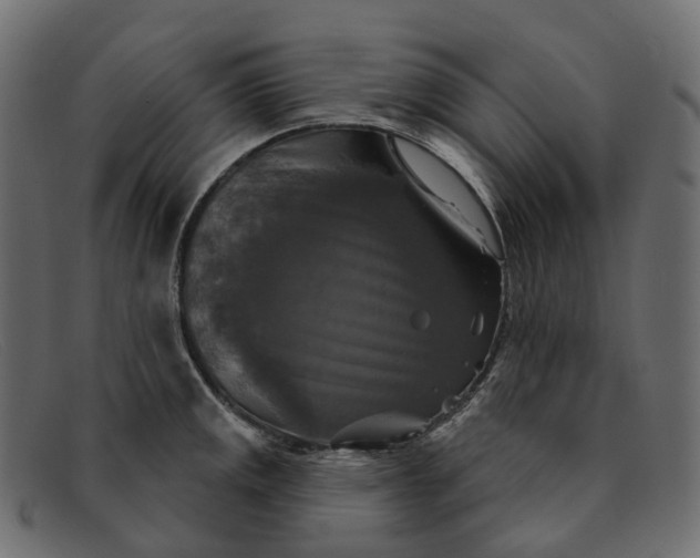 X0000091891141200709191212