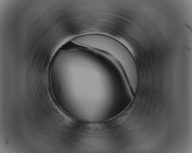 X0000091891142200709191212