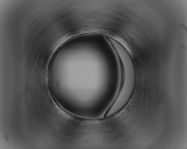 X0000091891143200709191212