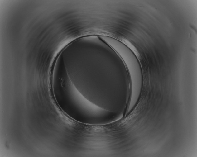 X0000091891144200709191212