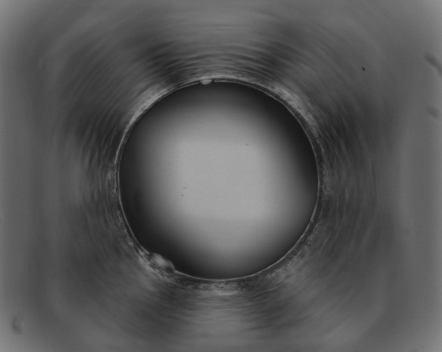 X0000091891145200709191212