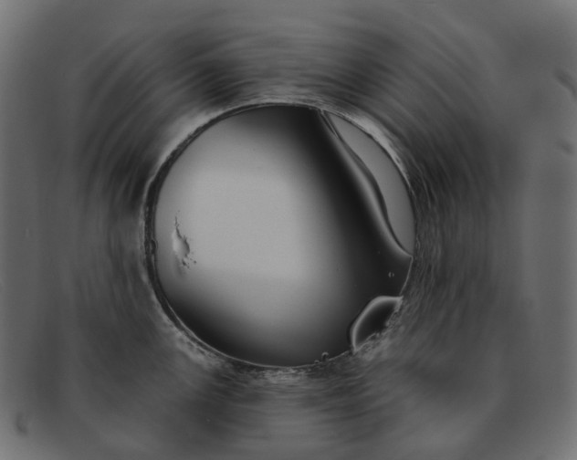 X0000091891147200709191212